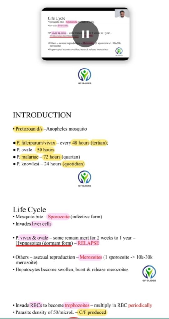 WhatsApp Image 2025-11-05 at 10.44.08