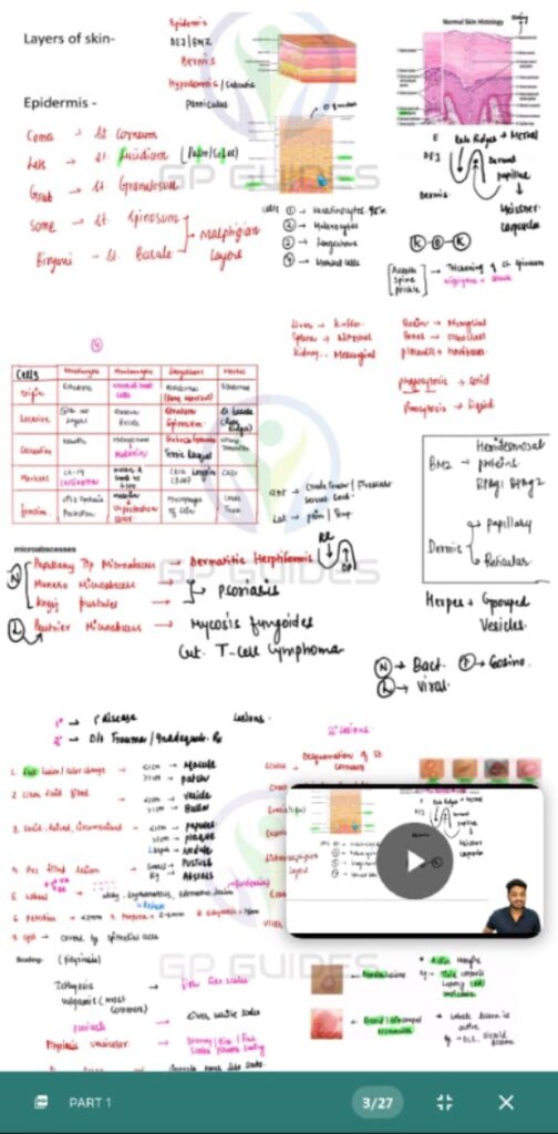 WhatsApp Image 2025-11-05 at 10.45.45 (1)